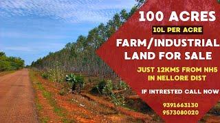 100 acres land for sale in andhrapradesh | farming/industrial land for sale in nellore