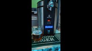 Budweiser budvar 5ltr mini keg 5% - Beermonster draught beer machine - review No. 862