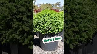 Do Your Garden on a Budget With Our Most Affordable Sale.