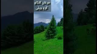 #shorts #youtubeshorts Beauty of Nature|Kurram Valley|Marghan Kandaw