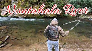 Fly Fishing Nantahala In The Spring