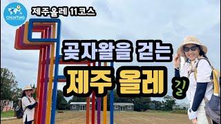 [제주올레길]아직도 올레길 안 걸어보셨다구요? 곶자왈올레길은 이곳입니다