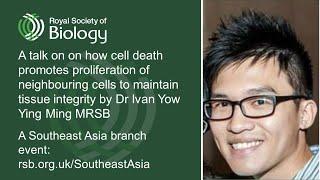 How does cell death promote resilient tissue? | Royal Society of Biology Southeast Asia branch