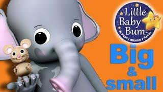 Big and Small Song | Nursery Rhymes for Babies by LittleBabyBum - ABCs and 123s