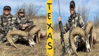 Mouflon Ram hunt(WARNING GRAPHIC FOOTAGE)Huge Texas Mouflon Ram