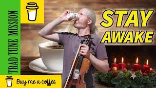 Stay Awake | Irish Traditional Music | Celtic Music | Fiddle Music