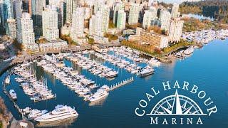 Coal Harbour Marina | Corporate | Vancouver Video Production | Citrus Pie Media Group