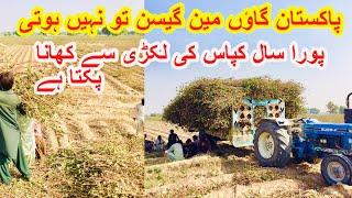 Pakistan Punjab in Village life | Punjabi travel | Daily Vlog | Amjad Pakistani