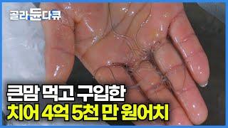 빠르면 8개월 길게는 1년만 키우면 큰돈 벌 수 있다는 민물장어 양식장ㅣ무려 한 번에 25만 마리가 키워지는 초대형 장어 공장ㅣ극한직업ㅣ#골라듄다큐