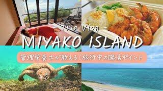 【宮古島vlog】管理栄養士が教える！旅行中の腸活ポイント