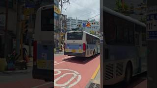 부산시내버스 115-1번 1808예비