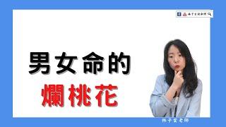 男女命的爛桃花 | 命理知識 | #林子玄說命理