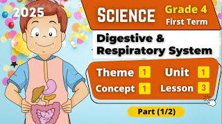 Digestive & Respiratory System | Grade 4 | Unit 1 - Concept 1 - Lesson 3 - Part (1/2) | Science