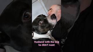 Rescue Dog is a Daddy's Boy #dog #doglovers