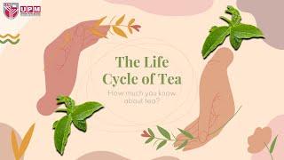 Life cycle assessment (LCA) of tea