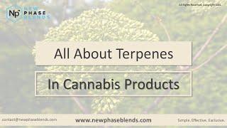 Terpenes Within CBD Products Explained