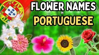 Names of Flowers in Portuguese  | Useful Phrases