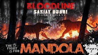 BLOODLINE OF SANJAY DUBRI TIGER RESERVE FOREST | PART-1