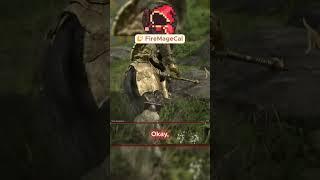 Everything's fine  First Wild Encounter, Elden Ring