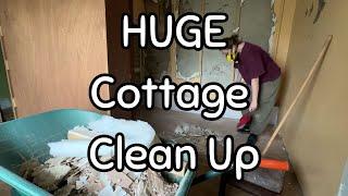 Getting the Old Abandoned Irish Cottage Cleaned Up For Move In - Ep. 87