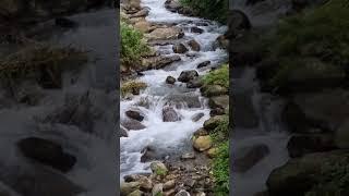 monsoon water falls in North Bengal #viral #trending #reels #shorts #travel #nature #fall #video #yt