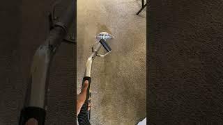 Apartment carpet cleaning #carpetcleaning #asmrcleaning #prodeepcleaningllc