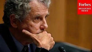 Sherrod Brown Leads Senate Banking Committee Hearing On Housing