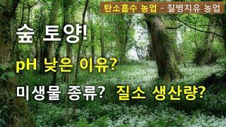 자연 숲 토양! pH 낮은 이유? 미생물 종류? 질소 생산량?