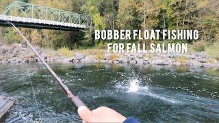 Worst hook up to land ratio ever? - BOBBER FISHING FOR FALL SALMON