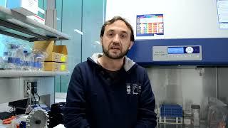 Julián Pardo Review on BEOnChip Microfluidic Cell Culture Chips