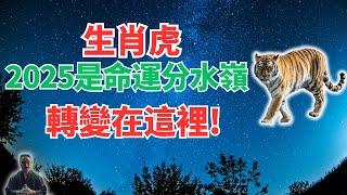 生肖虎，2025年是你的分水嶺，命運軌跡將改變，人生迎來大轉折！發生什麼？速看！ #生肖虎2025年運勢 #生肖虎2025年運程 #屬虎人2025年運勢 #屬虎人2025年運程