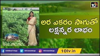 అర ఎకరం సాగుతో లక్షన్నర లాభం | Farmer Success Story in Chilli Cultivation In Half Acre | 10TV News