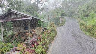 Extreme heavy rain in hilly villages for 3 hours, walking in the super heavy extreme rain, for sleep