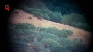 Los tres grandes de la montaña Oriental Leonesa