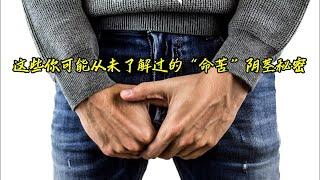 你不知道的男人身体真相：阴茎的苦与乐