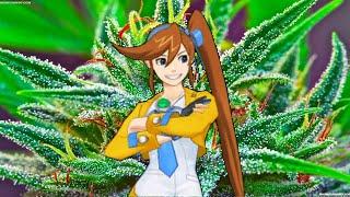 Athena Cykes Tries Weed (Objection.lol)