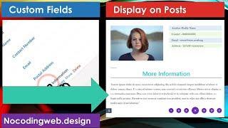 Display Custom FIelds in Post with Divi Builder - Full Tutorial