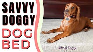 Savvy Doggy Bed Review: Non-Toxic Pet Bed with Natural Latex