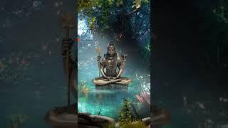 sambhu tere Maya Hindi Status Video Dhanraj Raja Chauhan