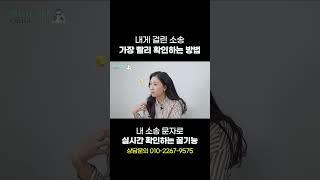 내게 걸린 소송 가장 빨리 확인하는 방법  | 이혼전문 박은주 변호사
