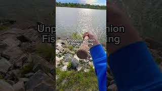 Unpopular but true‍️ #shorts #fishing #outdoors