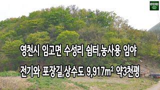 (매물06)경북 영천시임고면수성리 소액임야 영천산 영천부동산 경북산매매