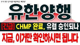 [유한양행 주가전망] [긴급] CHMP 완료, 유럽 승인되나. 지금, 이거만 확인하시면 됩니다.