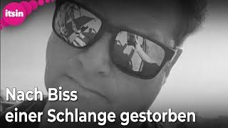 YouTuber Dingo Dinkelman nach Schlangenbiss gestorben • it's in