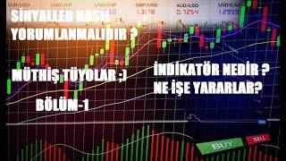 İNDİKATÖRLER NE İŞE YARAR ? NASIL YORUMLANMALARI GEREKİR ?