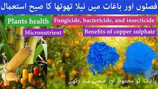 Benefits of copper sulphate in agriculture as a micronutrient, fungicide, bactericide, insecticide