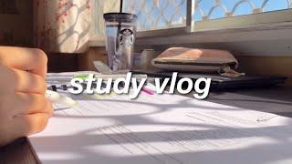 study vlog Malaysia : stuDYING for final exam 