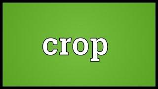 Crop Meaning