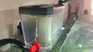 New Bubble Magus MiniQ Protein Skimmer