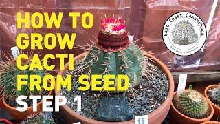 How to grow cacti from seed